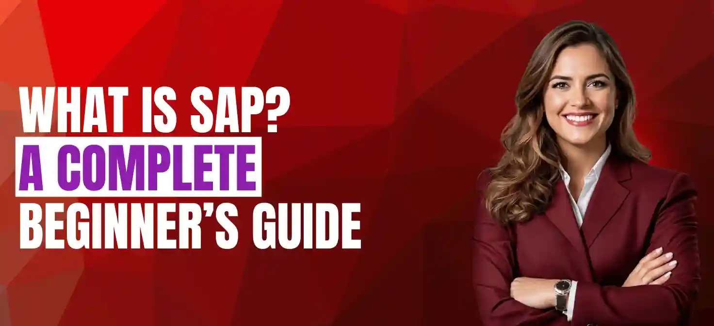 What is SAP beginner guide